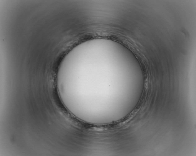 X0000111920464200907271013