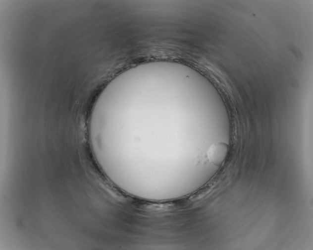 X0000111920465200907271013