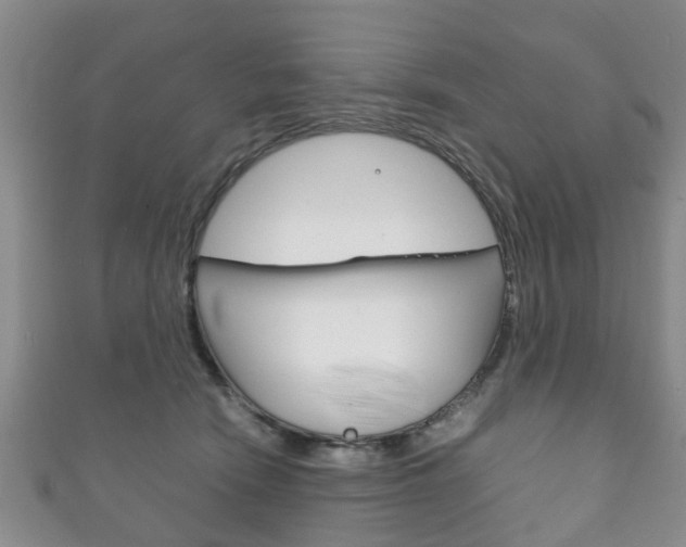 X0000111920466200907271013
