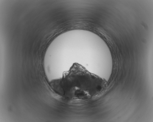 X0000111920467200907271013