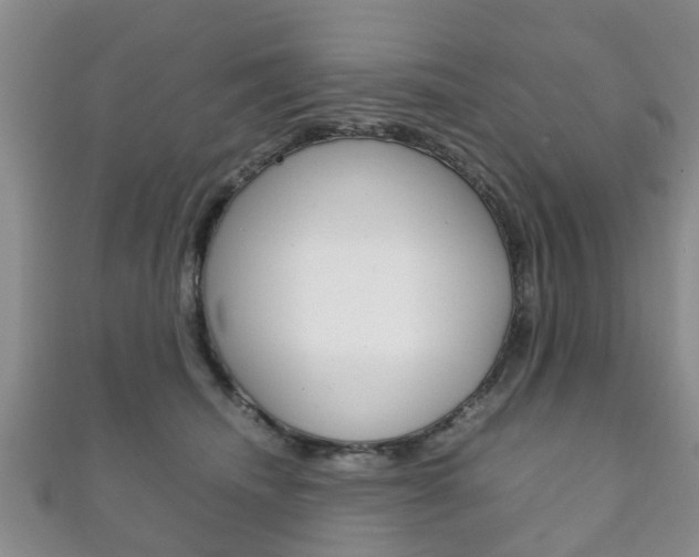 X0000111920468200907271013