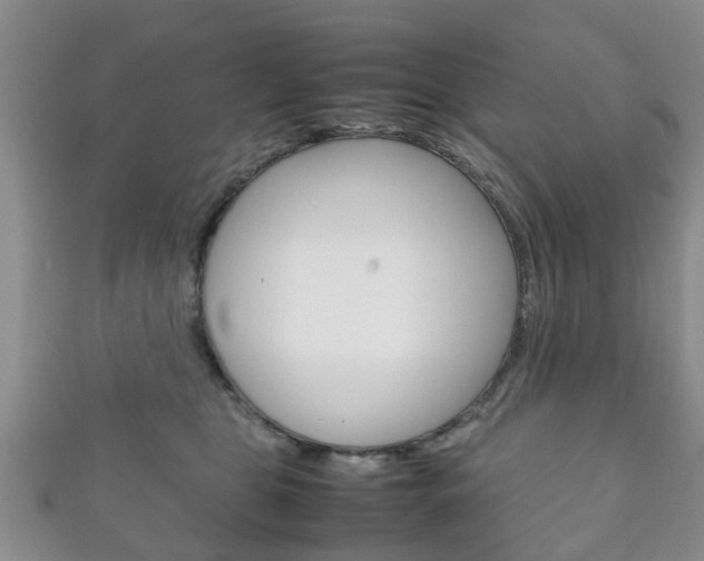 X0000111920469200907271013