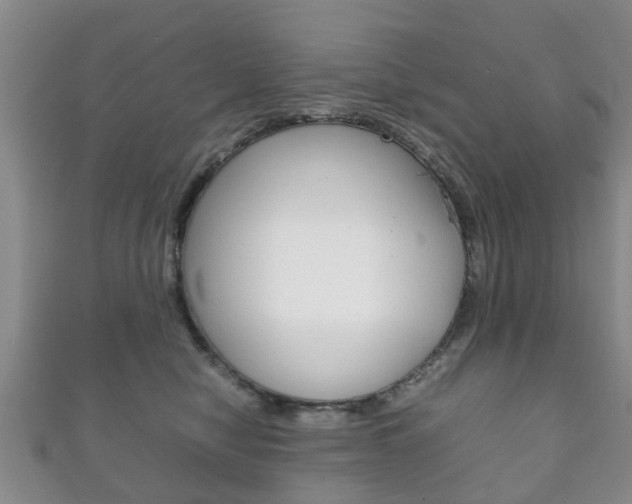 X0000111920470200907271013