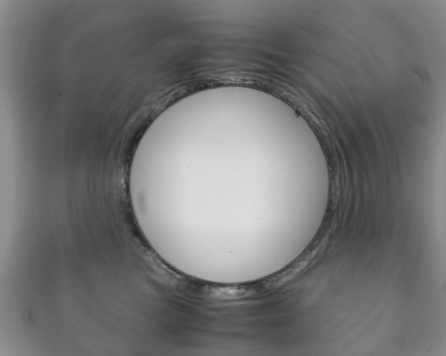 X0000111920473200907271013