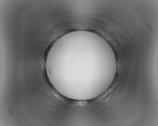 X0000111920474200907271013