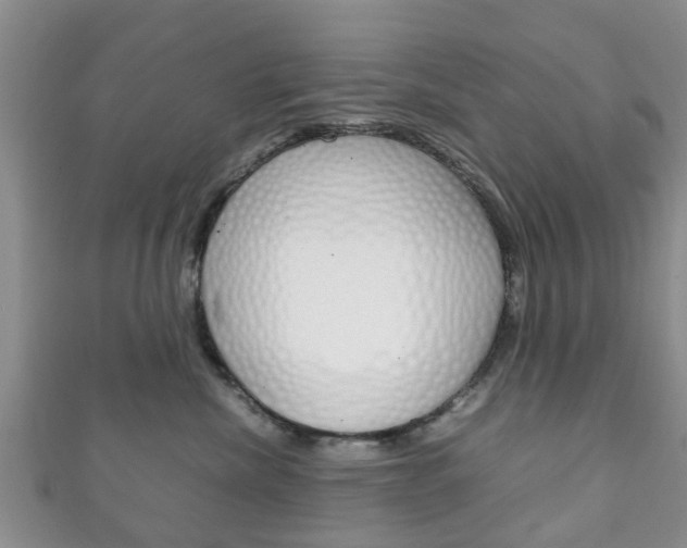 X0000111920476200907271013