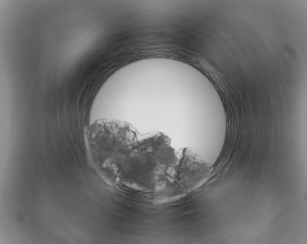 X0000111920477200907271013