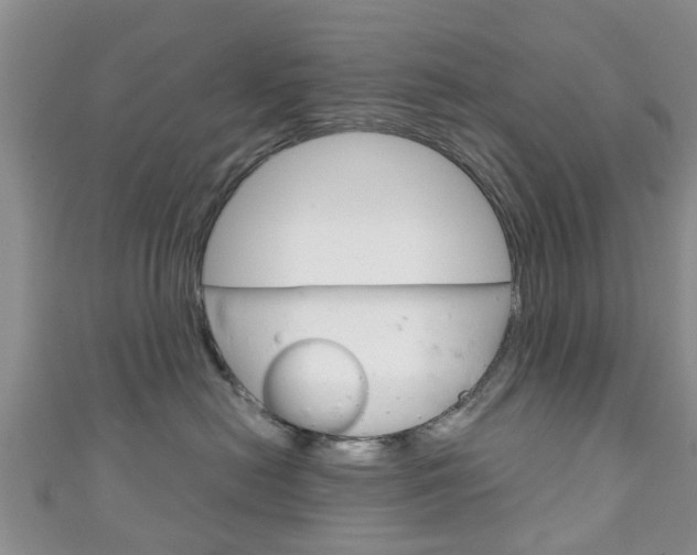 X0000111920478200907271013