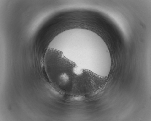 X0000111920479200907271013