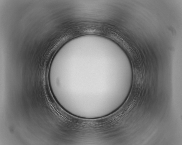 X0000111920482200907271012