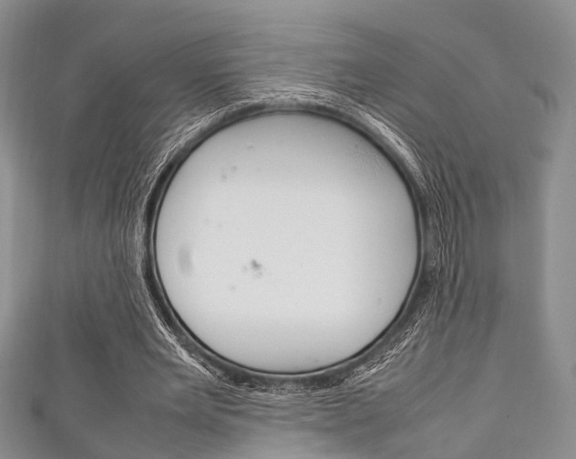 X0000111920485200907271012