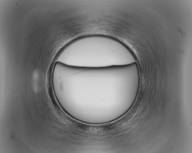 X0000111920487200907271012