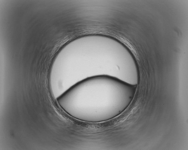 X0000111920489200907271012