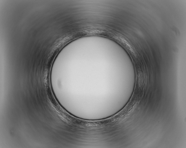 X0000111920490200907271012