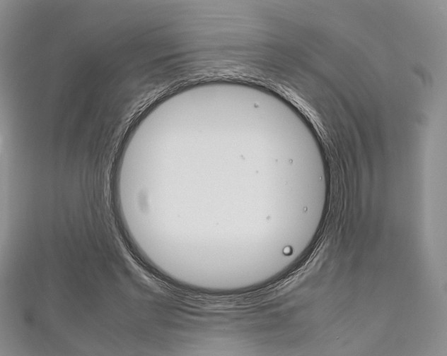 X0000111920493200907271012