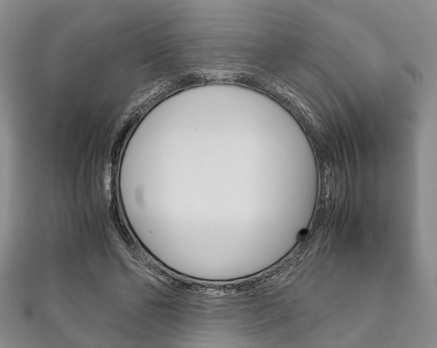 X0000111920494200907271012