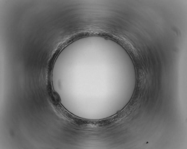 X0000111920496200907271012