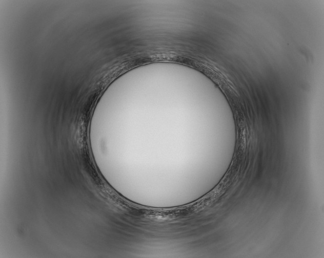 X0000111920498200907271012