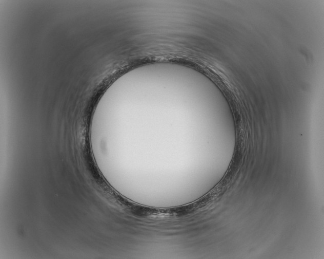 X0000111920499200907271012
