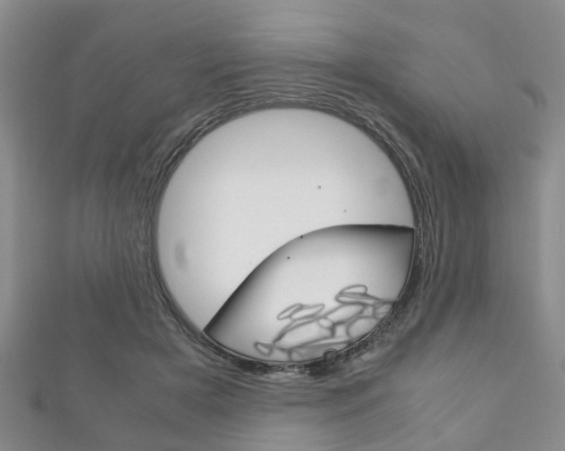 X0000111920505200907271012