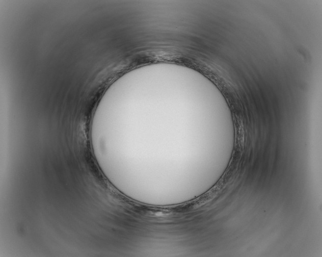 X0000111920506200907271012