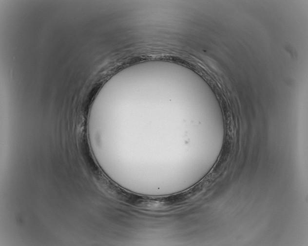 X0000111920507200907271012