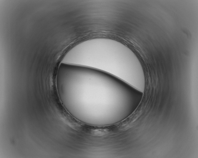 X0000111920508200907271012