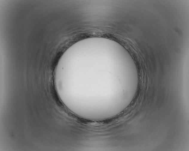X0000111920511200907271012