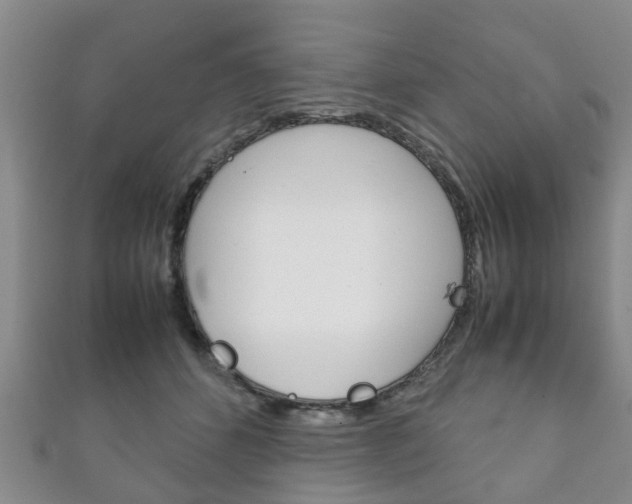 X0000111920512200907271012