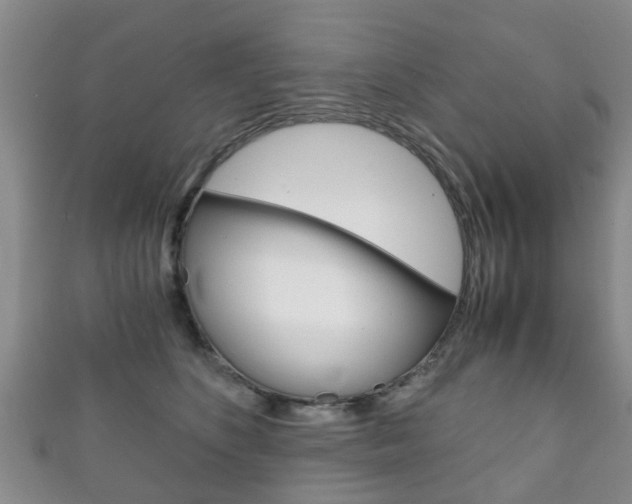 X0000111920516200907271012