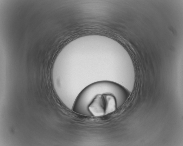 X0000111920517200907271012