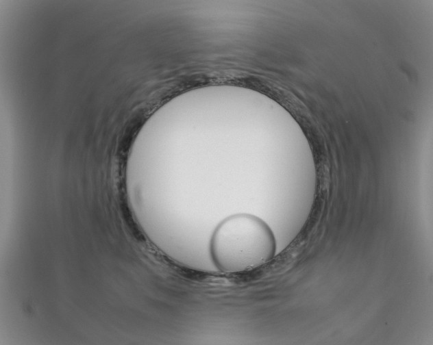 X0000111920519200907271012