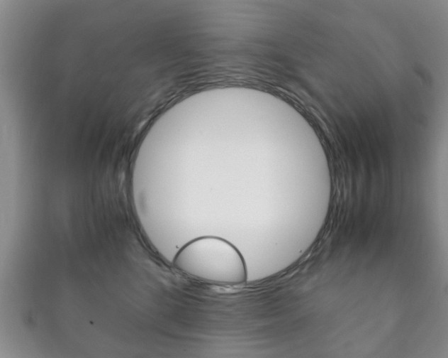 X0000111920520200907271012