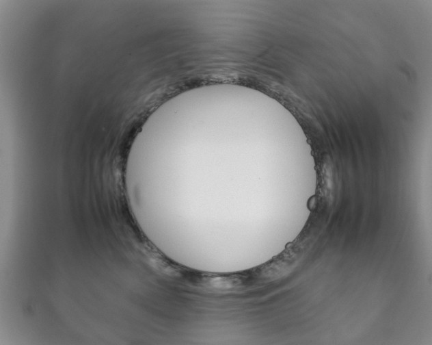X0000111920522200907271012