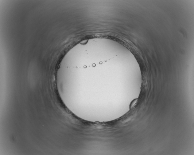 X0000111920523200907271012