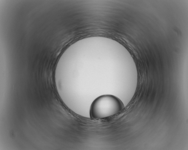 X0000111920524200907271012