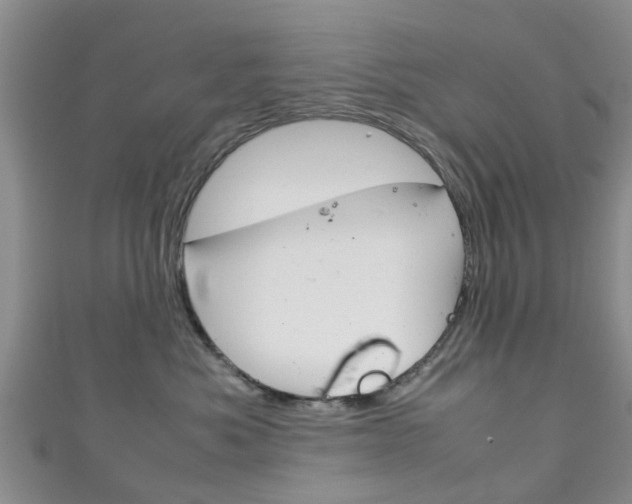 X0000111920525200907271012