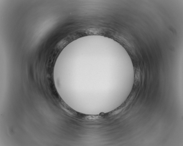 X0000111920526200907271012