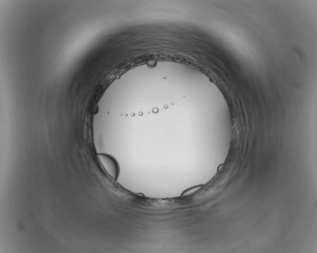 X0000111920527200907271012