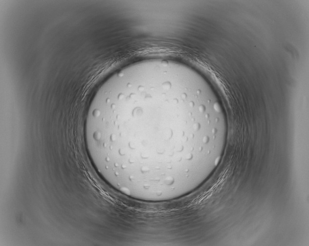 X0000111920529200907271011