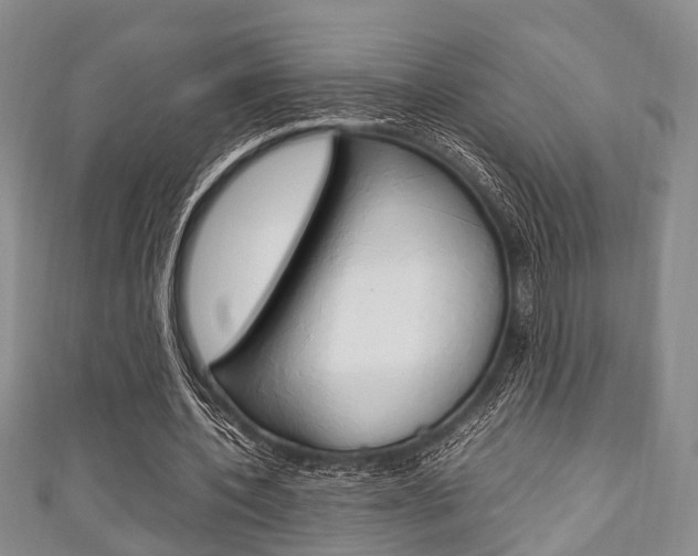 X0000111920532200907271011