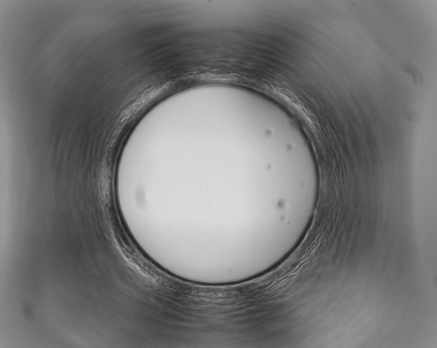 X0000111920533200907271011