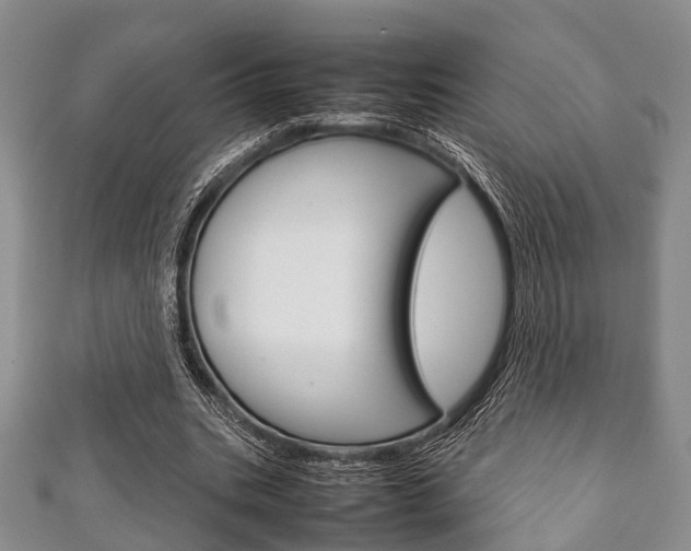 X0000111920535200907271011