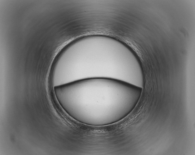 X0000111920536200907271011