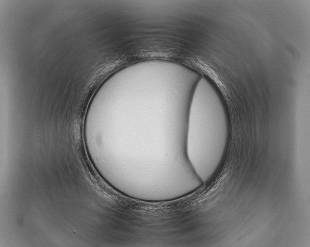 X0000111920537200907271011