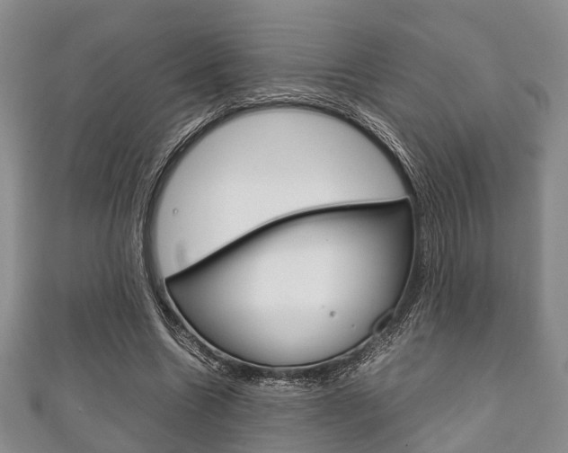 X0000111920538200907271011