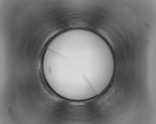 X0000111920539200907271011