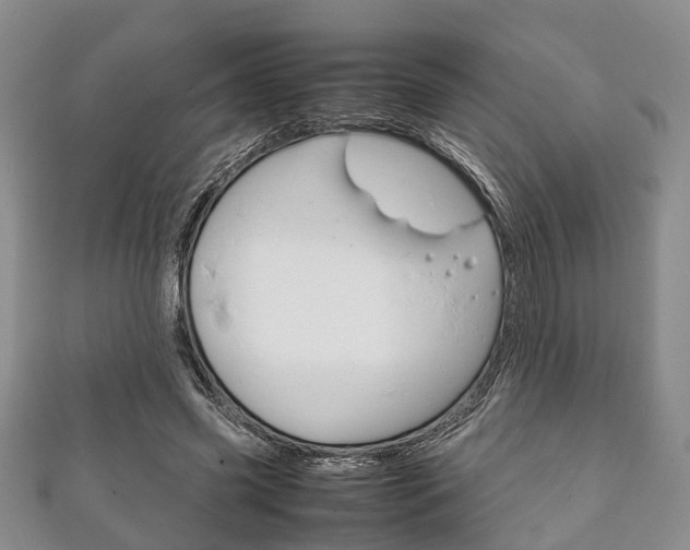 X0000111920541200907271011