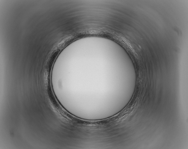 X0000111920542200907271011