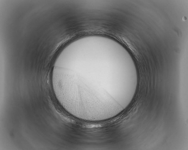 X0000111920543200907271011